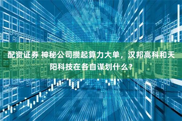 配资证券 神秘公司攒起算力大单，汉邦高科和天阳科技在各自谋划什么？